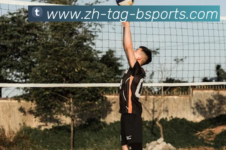 B体育APP 封面图